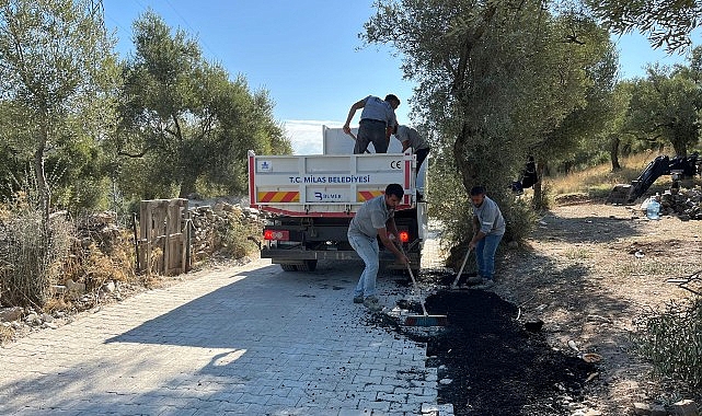 Milas Belediyesi, İlçemiz Mahallelerindeki Hummalı Çalışmalarını Sürdürüyor