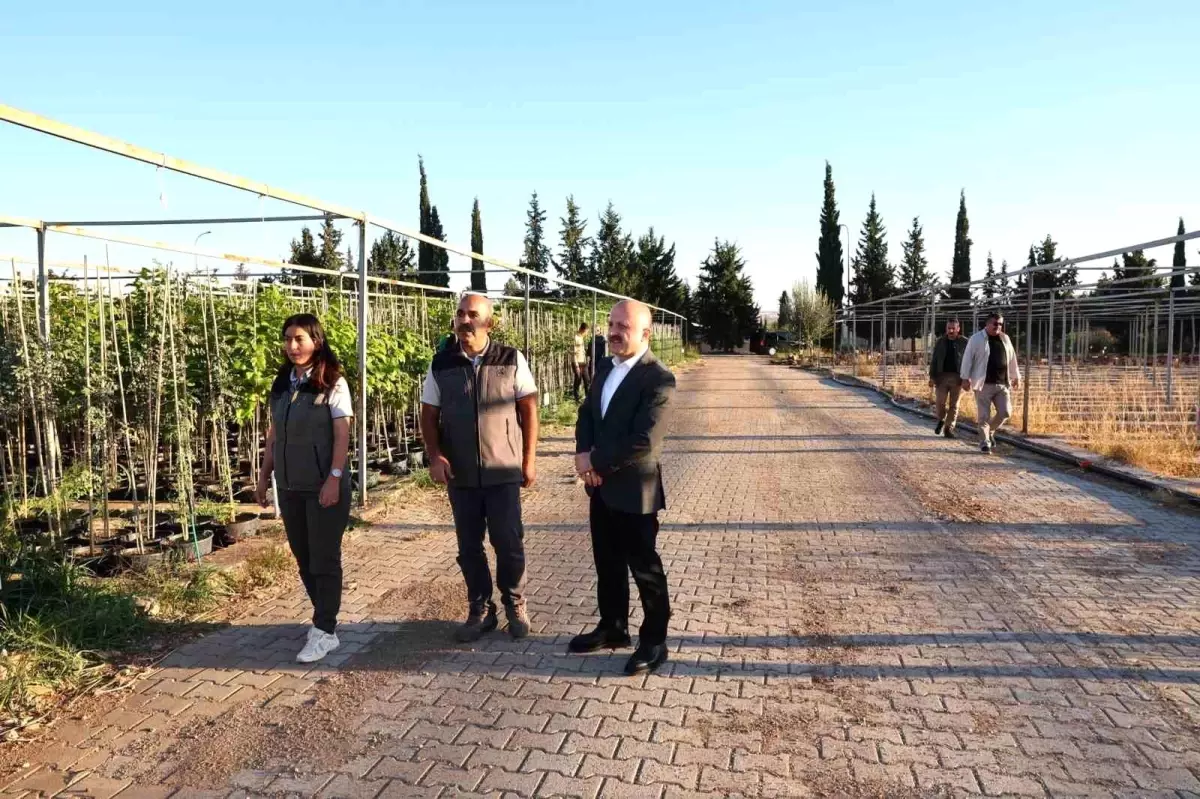 Vali Varol’dan Fidanlık Ziyareti