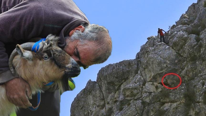 3 keçisini kurtlara kaptıran çobanın yürek burkan anı: ‘Dört gündür oradaydı’