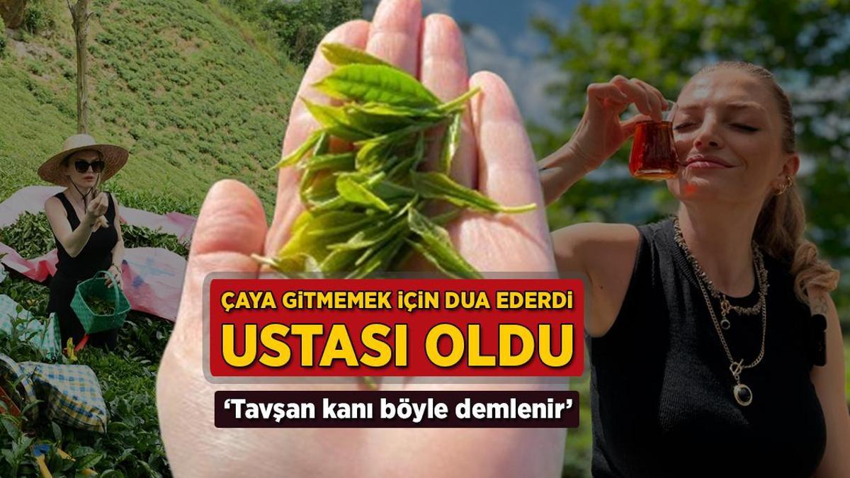 Çaya gitmemek için dua ederdi, şimdi ustası oldu: Tavşan kanı böyle demlenir