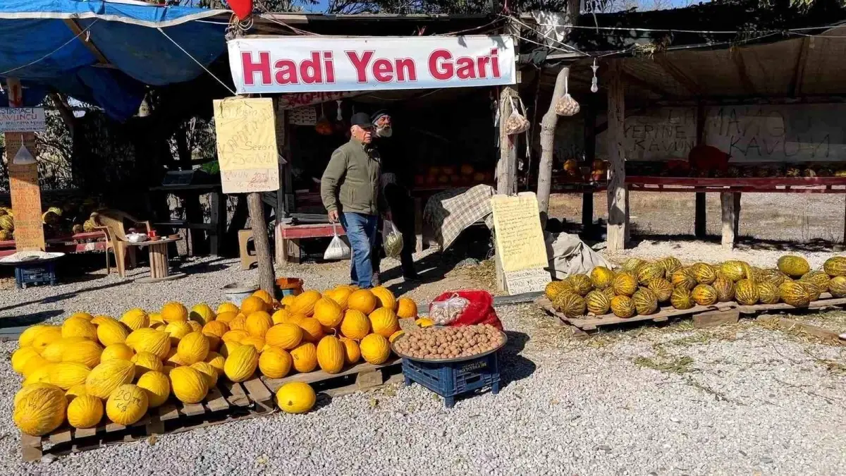 Araştırmacı Kavuncu: Halit Tekin’in Tohum Koruma Çabası