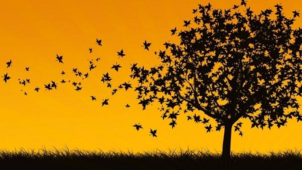 Mustafa Kutlu'nun ‘Sır’ hikayesinde yabancılaşma ve yozlaşma