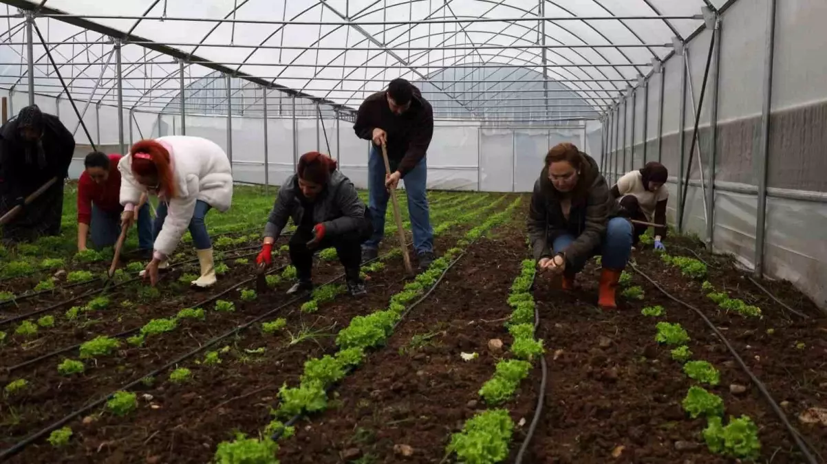 Tarım Akademisi’nde 16-55 yaş arası aday çiftçilere eğitim