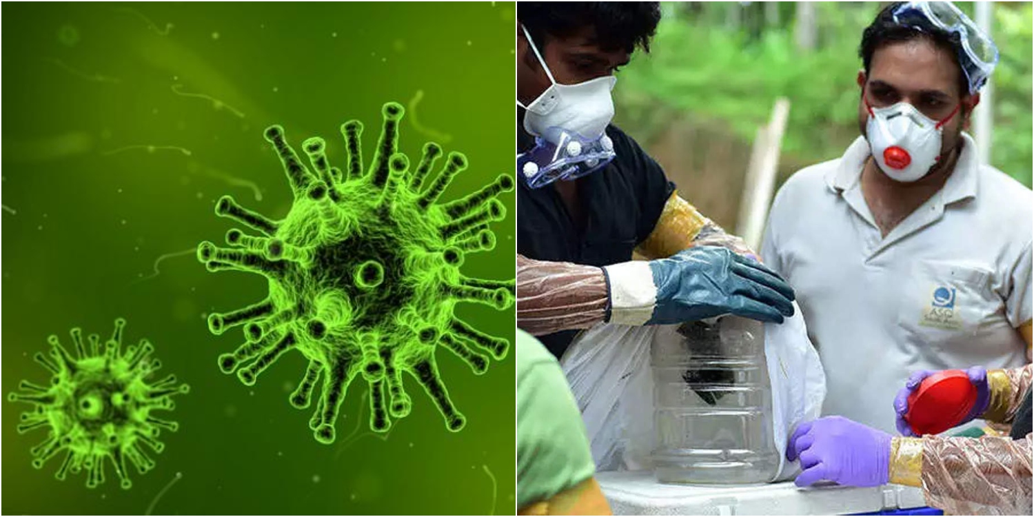 Yüksek Ölüm Oranıyla Tüm Dünyayı Korkutan Nipah Virüsü Nedir, Belirtileri Nelerdir?