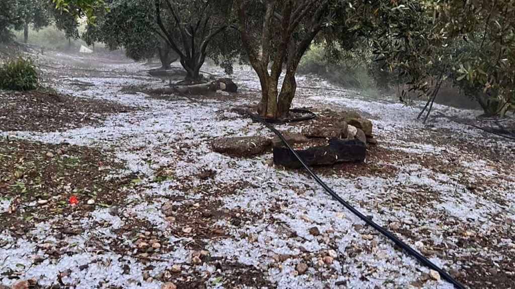 Ölümcül Obruklar Açılıyor: Dünyaca Ünlü Ein Gedi Beldesi Kalıcı Olarak Kapatıldı