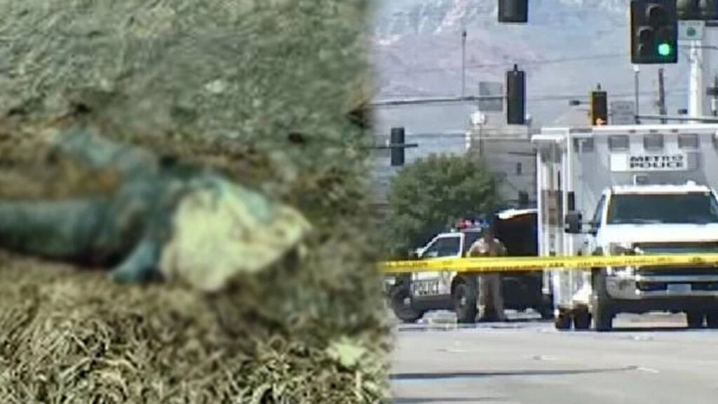 Las Vegas’ta Şok Edici Olay: Adamın Gözünü ve Kulağını Yiyen Zanlı Yakalandı!