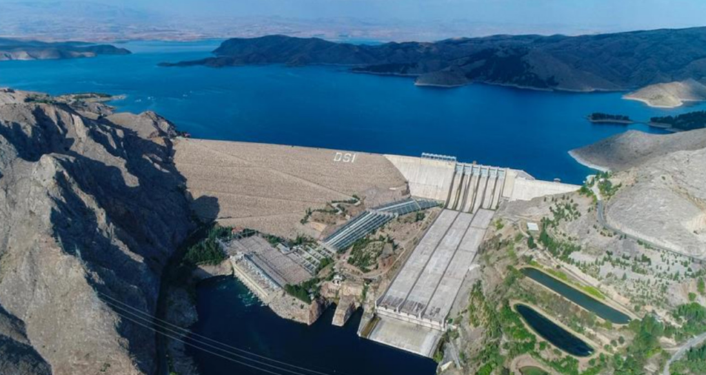 Tehlikeli Ziyaretçi: Türkiye Kıyılarında Pusula Deniz Anası Alarmı