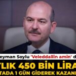 Süleyman Soylu’nun Aylık Kazancı: Haftada Bir Gün Mecliste Olmanın Bedeli 450 Bin Lira