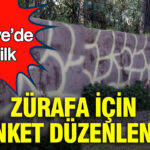 Türkiye’de Zürafa İçin İlk Anket: Yeni Yavruya ‘Çınar’ Adı Verildi