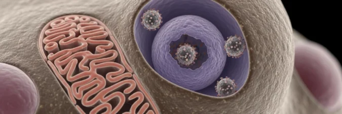 HPV Aşısı Hakkında Bilinmesi Gerekenler